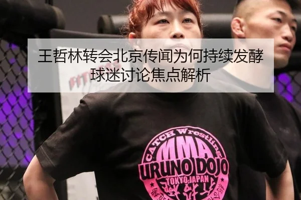 王哲林转会北京传闻为何持续发酵 球迷讨论焦点解析